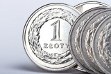 Photograph showing Polish zloty coins