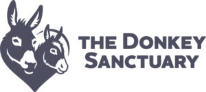 Donkey Sactuary