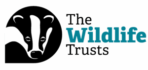 The Wildlife Trust