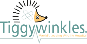 Tiggywinkles (St Tiggywinkle’s Wildlife Hospital Trust)